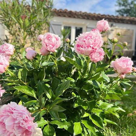 Mas La Farelle Gite, Fitness & Salle De Jeux Gratuite & Spa En Supplement Nîmes Zewnętrze zdjęcie